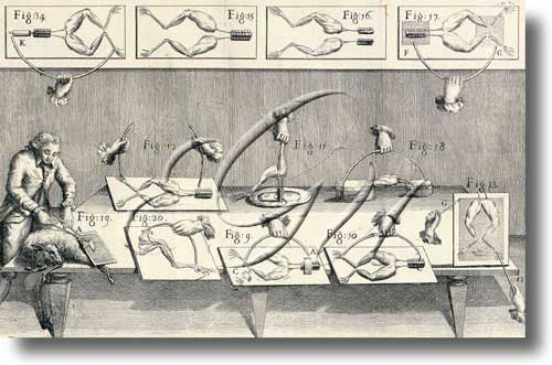 De viribus electricitatis in motu musculari mutinae, gravado do s XVIII que representa a Luigi Galvani (Bibliothèque Nationale, París)