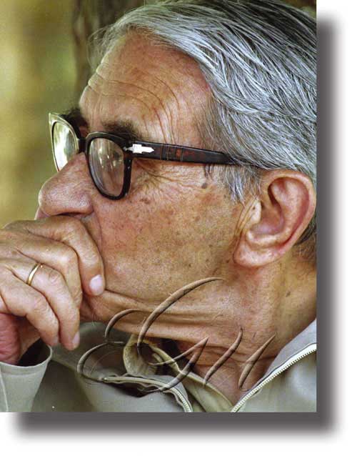 Gonzalo Torrente Ballester