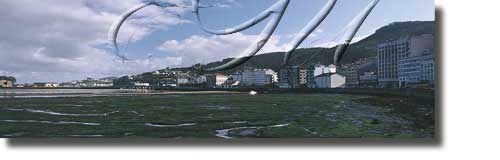 Vista do concello de Viveiro